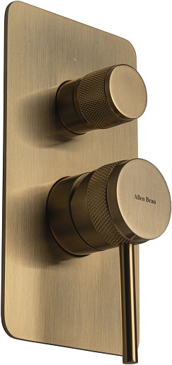 Allen Brau Смеситель для ванны Priority 5.31011-GB (с внутренней частью, 2 выхода) золото – фотография-6